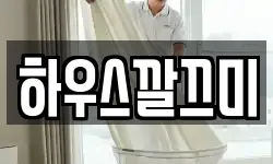 경북 안동시 이천동 청소,입주청소,사무실청소,에어컨청소
