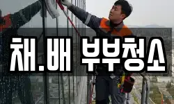 채.배 부부청소