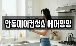 안동에어컨청소 에어팡팡