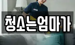 청소는엄마가