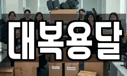 대복용달
