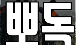 뽀독