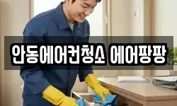 안동에어컨청소 에어팡팡