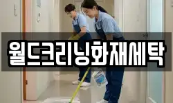 월드크리닝화재세탁