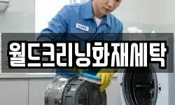 월드크리닝화재세탁