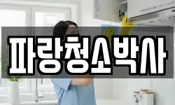 파랑청소박사