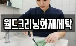 월드크리닝화재세탁