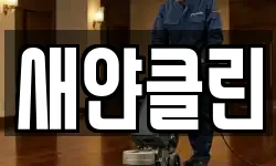 새얀클린