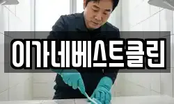이가네베스트클린