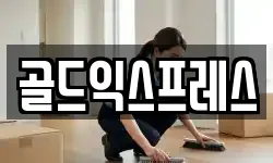 골드익스프레스