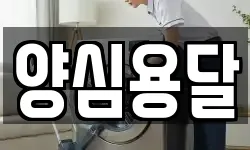 경북 영주시 봉현면 이사,용달이사,포장이사,원룸이사,보관이사