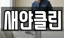 새얀클린