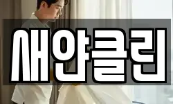 새얀클린