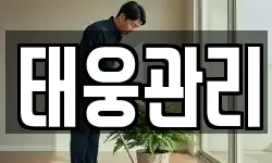 태웅관리