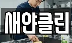 새얀클린