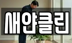 새얀클린