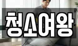 청소여왕