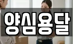 양심용달