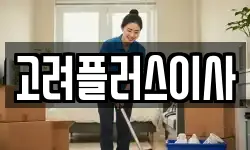 고려플러스이사