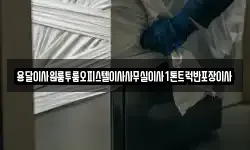 용달이사원룸투룸오피스텔이사사무실이사1톤트럭반포장이사