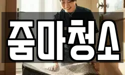 줌마청소
