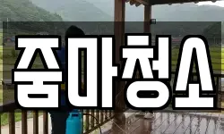 줌마청소