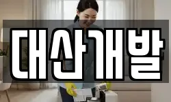 대산개발