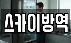 스카이방역