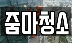 줌마청소