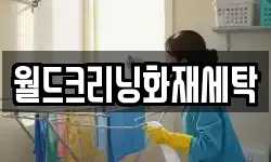 월드크리닝화재세탁