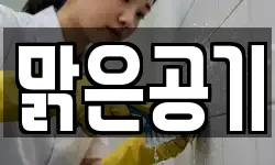 맑은공기