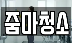 줌마청소