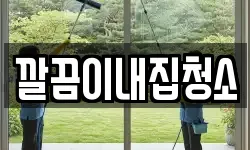 깔끔이내집청소