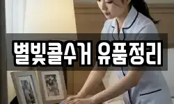 별빛콜수거 유품정리
