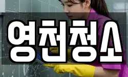 영천청소