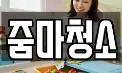 줌마청소
