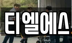 티엘에스