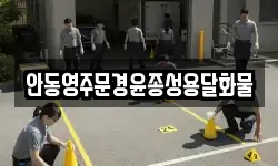 안동영주문경윤종성용달화물
