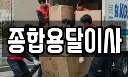 종합용달이사