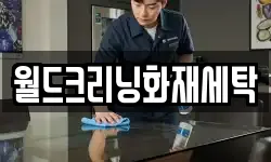 월드크리닝화재세탁
