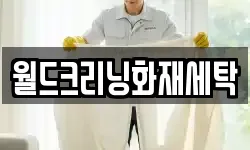 월드크리닝화재세탁