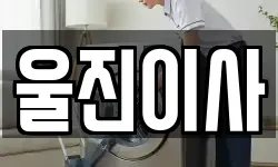 울진이사