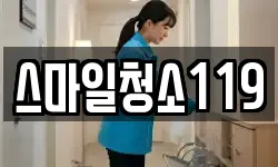 스마일청소119