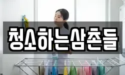 청소하는삼촌들