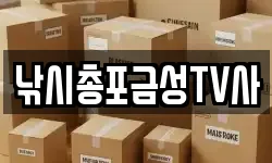 경북 의성군 금성면 이사,용달이사,포장이사,원룸이사,보관이사