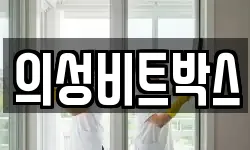의성비트박스