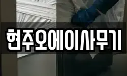 현주오에이사무기