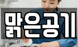 맑은공기