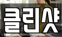 클린샷