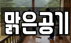 맑은공기